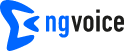 NGVoice